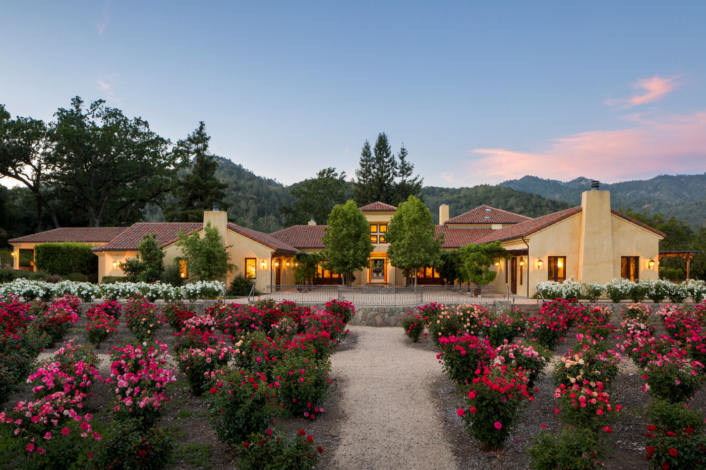 The Vine & Rose Napa Valley Front View Nighttime
